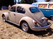 Beetle Show Rioz (32)